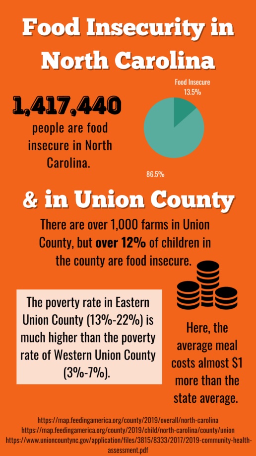 food insecurity infographic